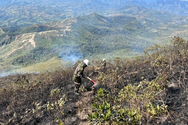 Controlado incendio en la Sierra Nevada