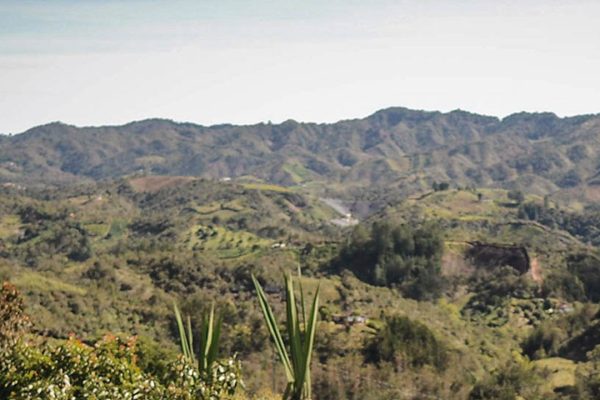 La Reforma Agraria avanza a paso firme La reforma agraria en Colombia