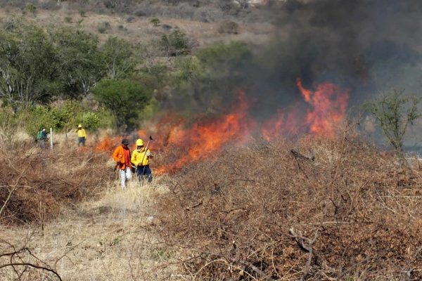 Incendios forestales en el Cesar