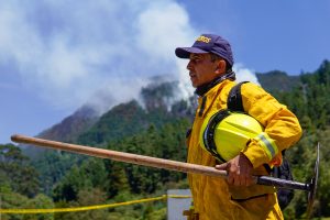 Protocolo Internacional para el combate de incendios forestales en Colombia