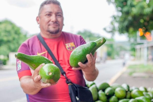 Finagro busca erradicar el gota a gota.