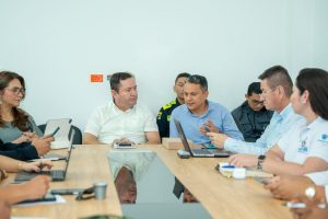 Estrategia de seguridad en los parasuramericanos.