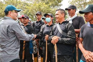 Fallo a favor de campesinos en Chimichagua.