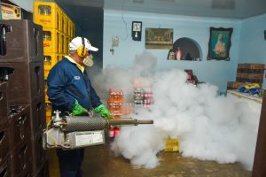 La prevención del dengue comienza en casa.