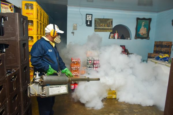 La prevención del dengue comienza en casa.