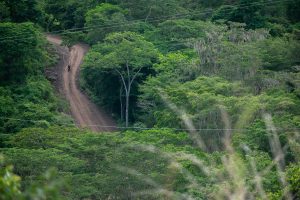 En marcha la vía de acceso a Tierra Grata.